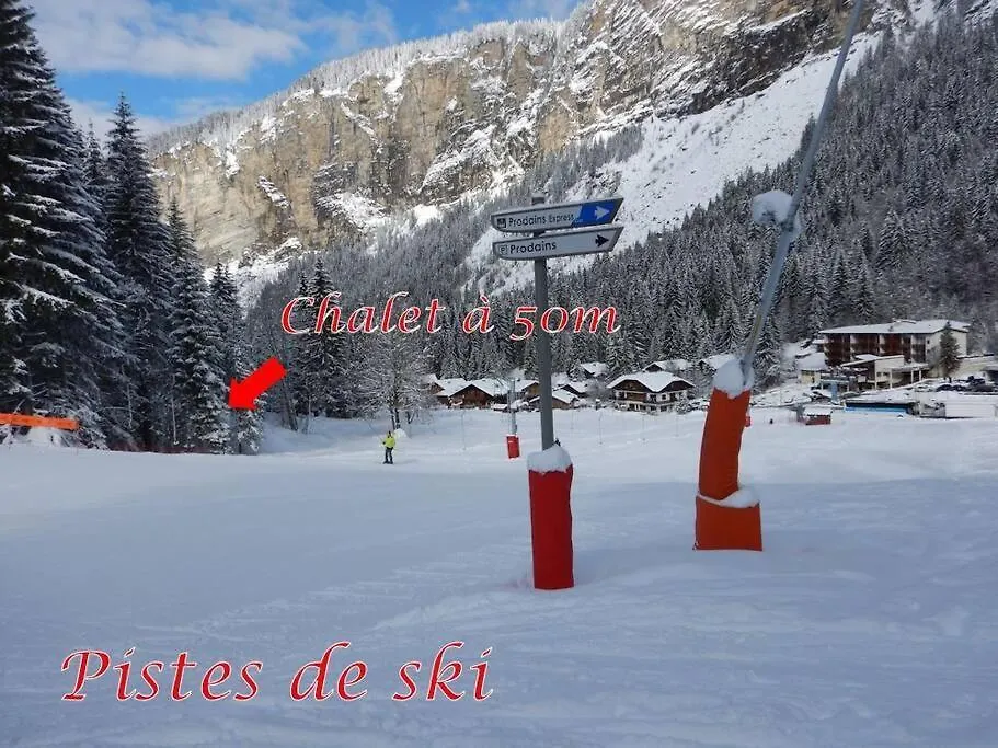 Chalet Le Nid Independant Mountain Chalet Morzine